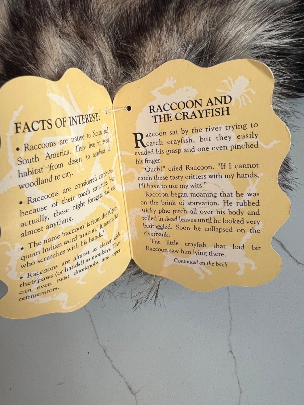 Folkmanis Racoon Puppet - Picture 4 of 11
